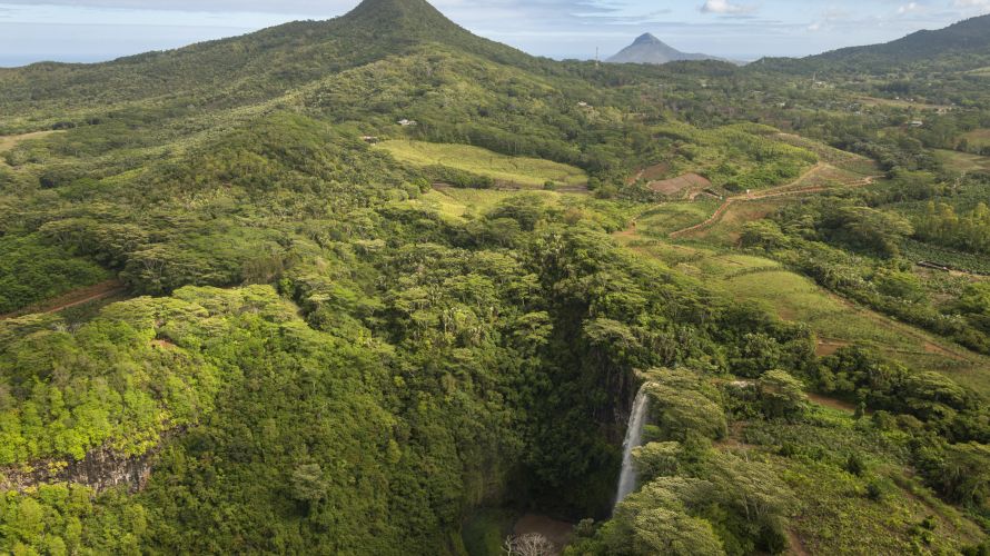 The heights of the Black River National Park are full of lush vegetation