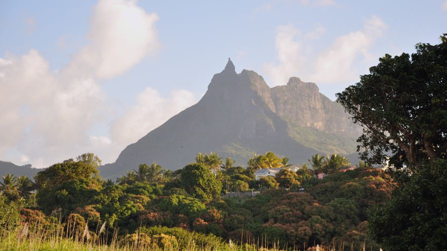 Pieter Both on Mauritius with its incredible shape