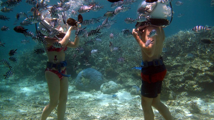 Underwater sea walk in Grand Baie